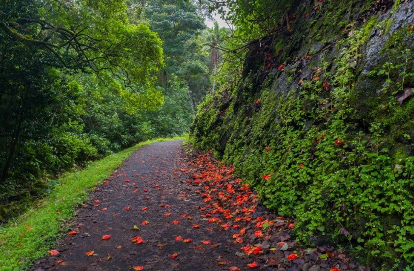 Ke'anae Arboretum, United States